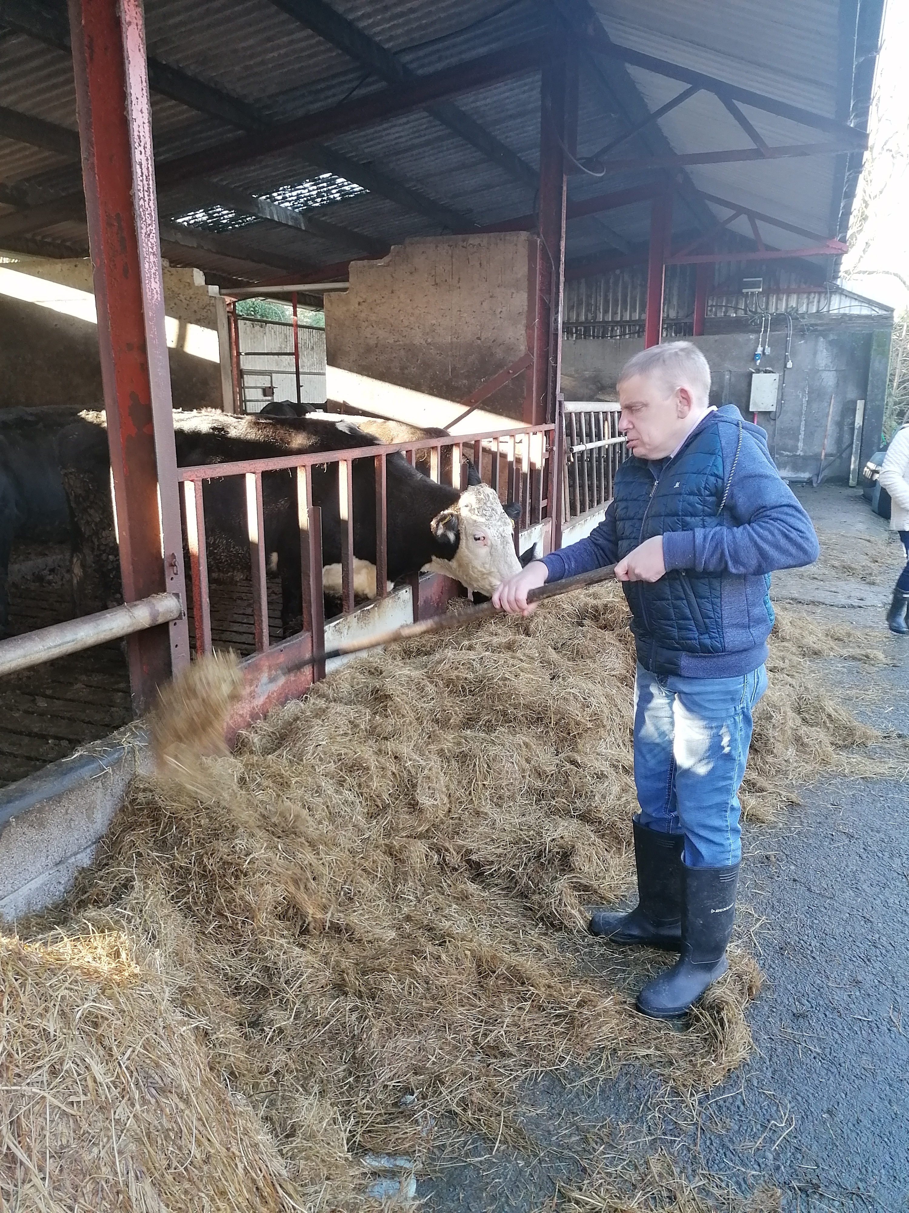 Kerry Social Farming